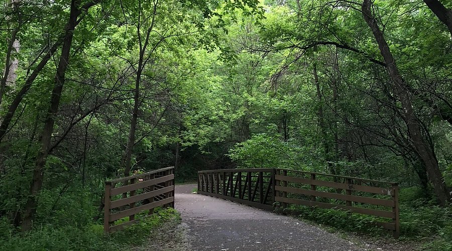 Battle Creek Dog Park dog park