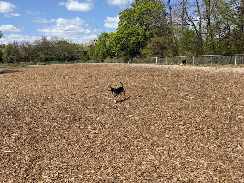 Franklin Terrace Off-Leash Dog Park dog park