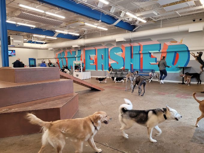 Unleashed Hounds and Hops dog park