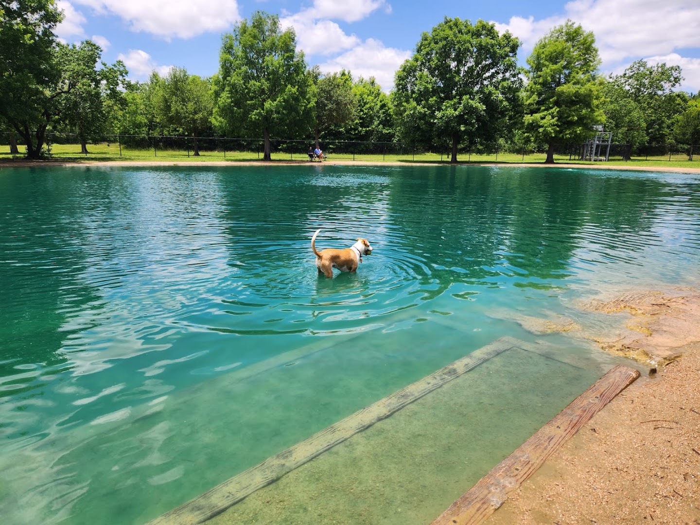 Victory Prairie Off-Leash Dog Park dog park
